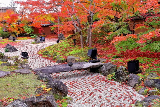 宮城 円通院 紅葉の日本庭園